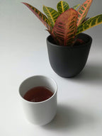 Wakocha Japanese Black Tea