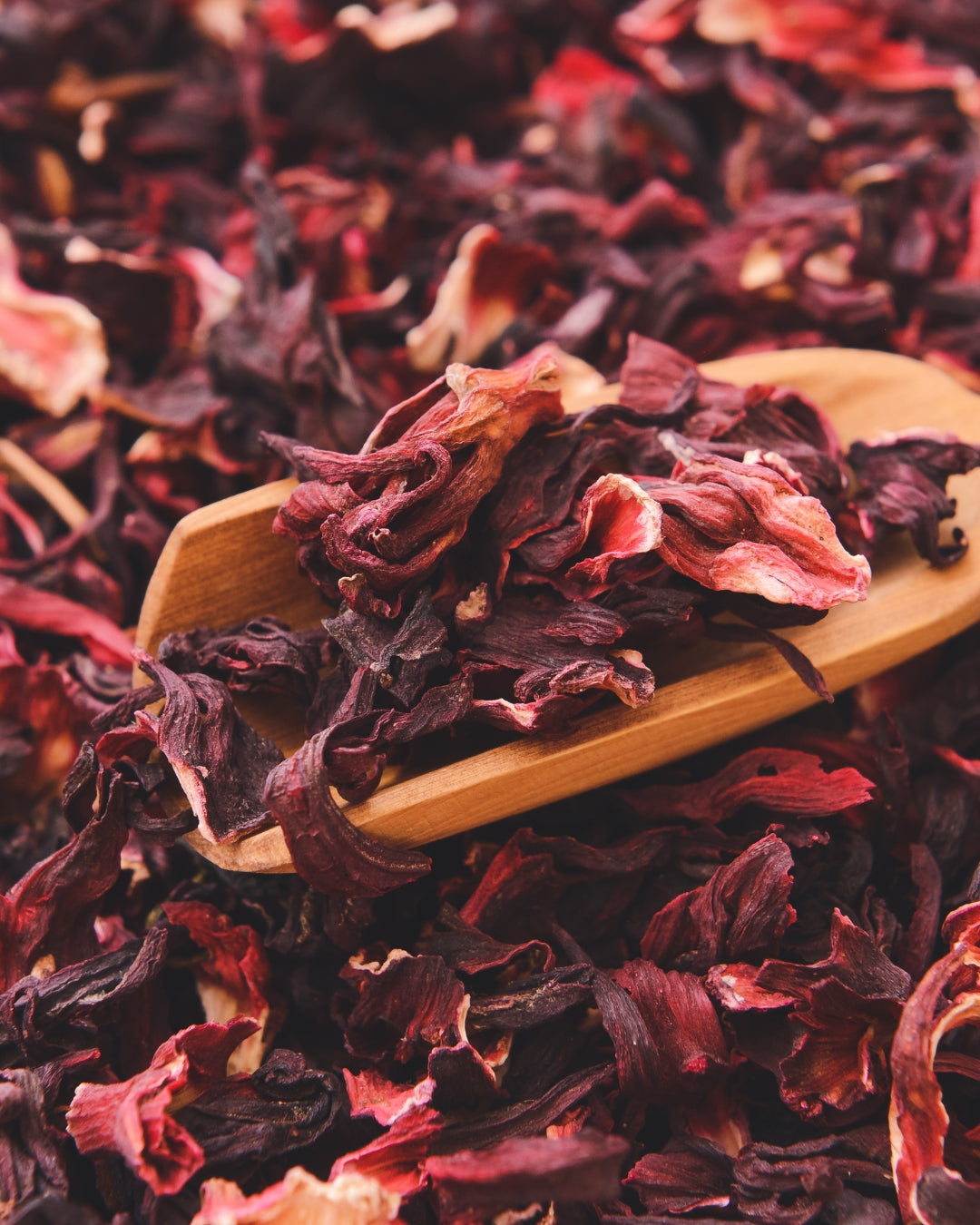 EGYPTIAN HIBISCUS LEMON GINGER TEA
